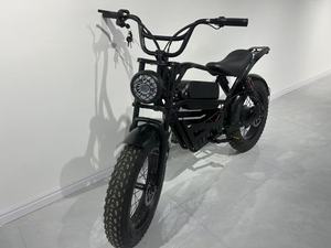 Bicicleta Eléctrica de Montaña JS-HaLei 1, de Alta Velocidad, 350W, 48V, 12Ah, con Motor de Tambor y Neumático de 20 Pulgadas, Precio de China, Gran Venta Estructura de Acero de Alta Calidad - Product Image 5