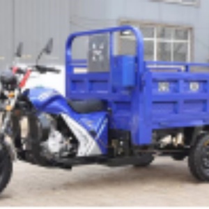 Motocicleta de Carga de 350cc con Sidecar, Triciclo de Carga de 3 Ruedas para Transporte de Pasajeros - Product Image 6