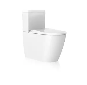 Randlose intelligente Bidet-Heizung Sitz Badezimmer Toilette Integrierte Toilette mit selbst reinigender Düse