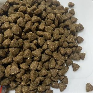 Alimento Seco para Gatos OEM Barato de Fábrica, Exportación, 900G, Alto en Proteínas, Sabor a Pollo Crudo, Forma de Pescado, Para Todas las Edades - Product Image 3
