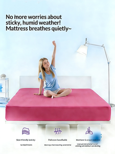 Atmungsaktive, Langlebige TPE Moderne Bettmatratze Kühlend Druckentlastend Wasserdicht Feuchtigkeitsabweisend für Schlafzimmer Schule Krankenhaus Hotel - Product Image 2