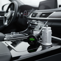 Chargeur de voiture USB-C en gros, charge rapide QC 3.0 PD 38W, allume-cigare 31A, double port USB, noir et blanc, en ABS, portable