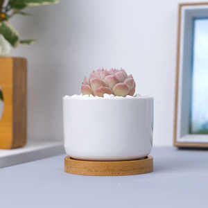 Vendita calda vasi per <span class=keywords><strong>piante</strong></span> cilindrici bianchi <span class=keywords><strong>in</strong></span> <span class=keywords><strong>ceramica</strong></span> da 3.5 pollici con fori di drenaggio vassoi <span class=keywords><strong>in</strong></span> bambù fioriera moderna per succulente - Product Image 5