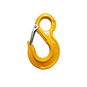 Gelegeerd Staal G80 Oogsliphaak Met Veiligheidsgrendel Voor Mijnbouw En Zware Industrie Hijstoepassingen - Product Image 6