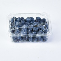 Boîte d'emballage carrée pour fruits de 150 g, boîte en plastique PET / rPET transparente pour myrtilles, conteneur à clapet avec trou dans le fond