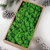 Vente en gros en vrac, paquet de 500g, 200g, 1kg, Musgo Preservado Eternal Reindeer, lichen préservé, panneau de mousse stabilisée, art mural en mousse