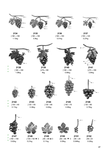 Wrought sắt thành phần và các bộ phận sắt lá cho cầu thang lan can cổng hàng rào - Product Image 4