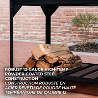 Grand barbecue argentin au charbon de bois, style Santa Maria, en acier inoxydable, avec hauteur réglable et table latérale, idéal pour les fêtes en extérieur
