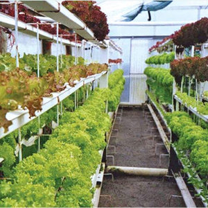 Sainpoly Sistema de Cultivo <span class=keywords><strong>Vertical</strong></span> Hidropónico de Bajo Costo para Cultivo de <span class=keywords><strong>Lechuga</strong></span> en Interiores, Torre de Cultivo en Venta - Product Image 3