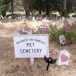 Black Angel Wings Pet Memorial Stake con <span class=keywords><strong>palabras</strong></span> <span class=keywords><strong>de</strong></span> recuerdo, Dog Prints Sympathy Dog Grave Plaque Cemetery Markers Decoraciones - Product Image 6