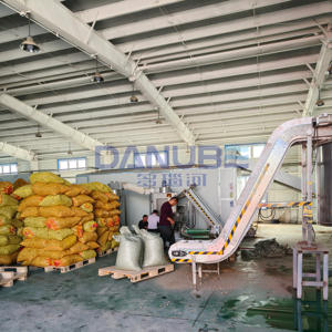 Large Scale Peanut Cleaning Steaming and Drying Production Line Mesh Belt Dryer Peanut Dehydrator Machine - Product Image 6