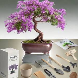 Kit de démarrage d'arbre bonsaï d'intérieur avec outils <span class=keywords><strong>cadeau</strong></span> de <span class=keywords><strong>jardinage</strong></span> domestique en fibre pour femmes et hommes - Product Image 2