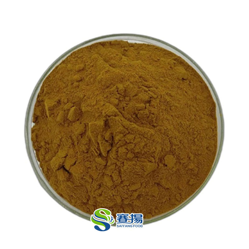 Wholesale Motherwort Extract Natural Motherwort Herb