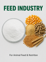 Poudre de Thiamine Vitamine B1 de qualité alimentaire, additif pour l'alimentation animale, pour porcs, volailles, prémélange nutritionnel pour l'alimentation aquacole, fabricant.