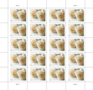 Stockbook <span class=keywords><strong>de</strong></span> cartes <span class=keywords><strong>de</strong></span> première classe, rares, <span class=keywords><strong>de</strong></span> qualité supérieure, États-Unis 2011, avec motifs <span class=keywords><strong>de</strong></span> mariage et <span class=keywords><strong>de</strong></span> roses, Postales usagées, Drapeaux, Timbres Forever, Étiquettes, Vente en gros - Product Image 1