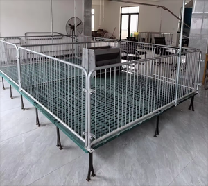 Peralatan Peternakan Babi Kondisi Baru yang Dapat Disesuaikan, Kandang Anak Babi yang Dilepas dari Ibu, Kandang Penitipan Anak Babi, Kandang Babi - Product Image 2