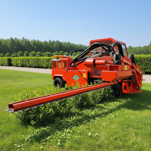 Machine de taille d'arbres diesel robuste, puissante, à commande hydraulique, pour l'entretien des routes et des bordures routières - Product Image 6