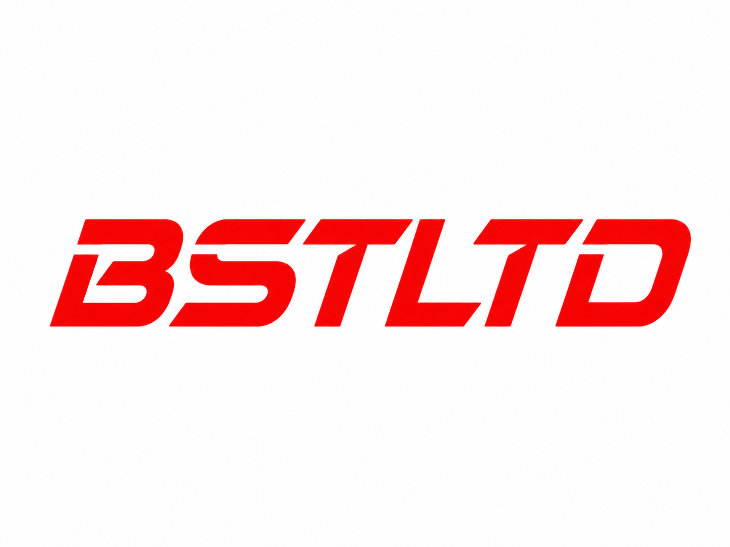 Wenzhou Beisite Security Co., Ltd. logo
