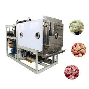Máquina de procesamiento de fruta liofilizada usada en fábrica Grande, máquina de fruta liofilizada al vacío para fresas liofilizadas