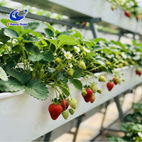 Système hydroponique vertical intelligent pour serre, système de gouttières en A pour fraises, bac de plantation en PVC pour l'agriculture commerciale