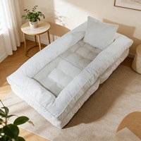Canapé-lit Tatami Moderne pour une Personne, Vente Chaude Usine, Canapé de Sol de Luxe à Compression, Meuble d'Intérieur pour Salon et Balcon