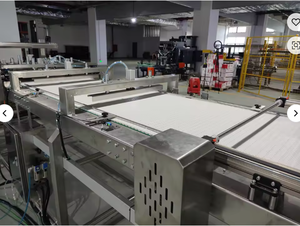 Focus Machinery Nieuwe Automatische Pallettransportband met Regelbare Snelheid en Automatische Palletiseermachine voor Ingeblikte Producten - Product Image 2