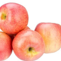 IQF Diepvries Fuji Appelballetjes Rode Schil Natuurlijk Zoet Kosher Gecertificeerd Groothandel voor Voedselverwerking