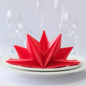 Serviettes en papier pliées en forme d'étoile fantaisie pour le dîner - Product Image 6