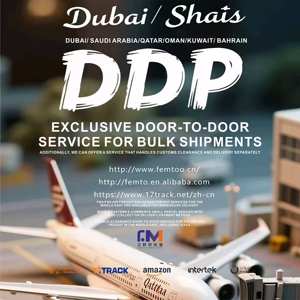 Consultoría de Logística Aérea en Oriente Medio - Planificación Experta en Transporte Aéreo y Logística - Product Image 6