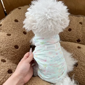 Chaleco de malla transpirable de verano para gatos y perros con diseño de animales acuáticos, con diseños de Bichón Frisé, Teddy Bear y Ragdoll - Product Image 1
