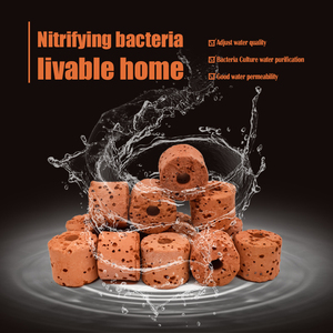 Anneau de bactéries d'aquarium avec filtre en céramique <span class=keywords><strong>rouge</strong></span> avec maison en verre respirant pour aquarium en boîte - Product Image 2