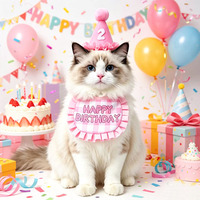 Colliers personnalisés pour animaux de compagnie, doux, en polyester, avec motif lettre de dessin animé, chapeau d'anniversaire, bavoir, écharpe mignonne pour chien, ensemble de serviettes anti-salive Joyeux Anniversaire