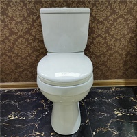 Ensemble de sanitaires populaires et très demandés : WC deux pièces et lavabo sur colonne en céramique
