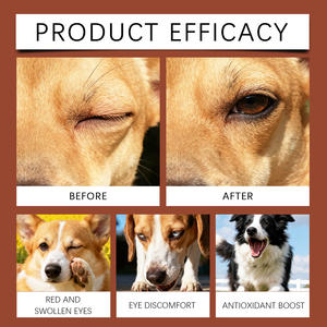 <span class=keywords><strong>Gotas</strong></span> <span class=keywords><strong>para</strong></span> la <span class=keywords><strong>Visión</strong></span> de Perros en Oferta, 30 ml, Favorecen la Comodidad Ocular, Bienestar Ocular, Fuente de Nutrientes, Venta al por Mayor de Fábrica, Suministro a Granel, OEM - Product Image 6