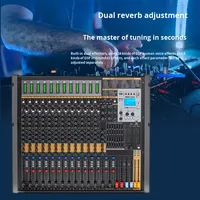 Mélangeur de réverbération double DSP série T-LDST 10 12 16 20 canaux pour la scène de conférence, la performance, USB, Bluetooth