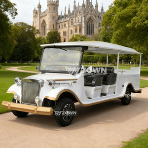 รถศพไฟฟ้า ZOWN รุ่นวินเทจ สีขาวทอง 4 ล้อ สำหรับขนส่งโลงศพ - Product Image 4