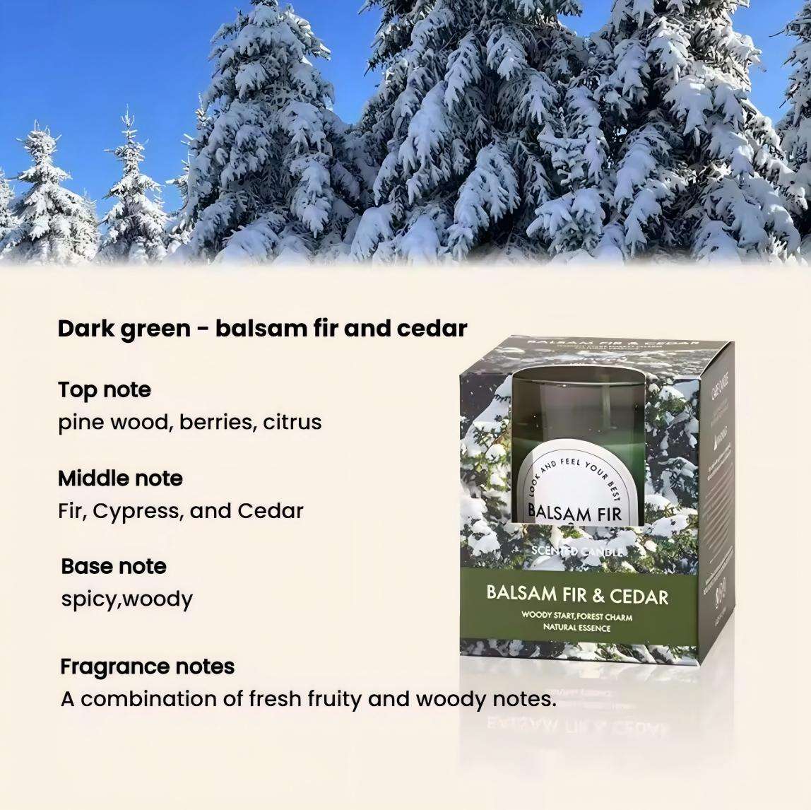 Balsam Fir and Cedar