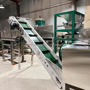 Nouvelle ligne de production automatique de pelage et d'emballage d'ail, moteur 220V/380V, garantie de 2 ans pour la machine à pâte d'ail frais - Product Image 4