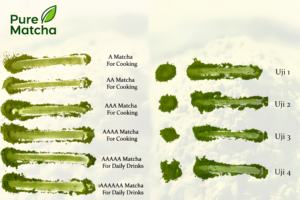 <span class=keywords><strong>KIKI</strong></span> Matcha, Té Verde Japonés Orgánico en Polvo de Alta Calidad - Té Adelgazante Certificado, Marca Propia de Té Matcha en Polvo - Product Image 3