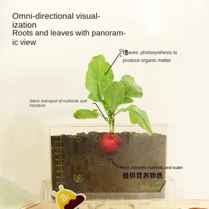 Kit d'observation des racines pour enfants, jouet scientifique STEM, kits de culture artisanale pour cadeaux d'anniversaire, de Pâques pour garçons, filles, enfants, ensemble de jardinage, jouet DIY - Product Image 4