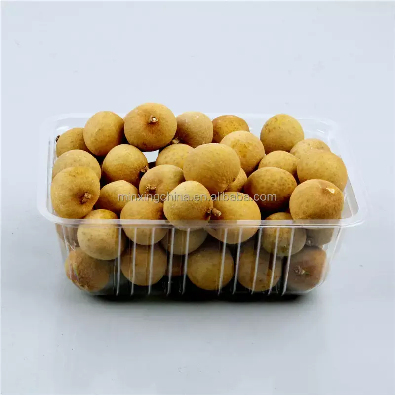 Custom Transparent Disposable Clamshell Fruit Tray Blister Packaging Tray Box For Wholesale