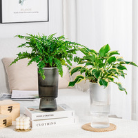 Vase hydroponique Transparent auto-amorçant eau sol culture pot de fleurs salon Aqua bouteille riche bambou Rose verre
