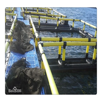 Cages flottantes en PEHD pour la pisciculture