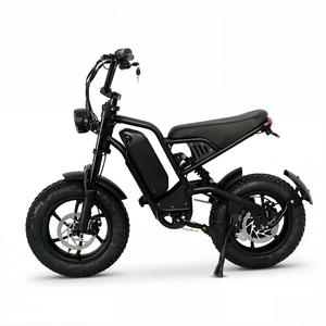 <span class=keywords><strong>Bicicleta</strong></span> Eléctrica de 48V 500W con Batería Desmontable de Carga Rápida para Niños, <span class=keywords><strong>Bicicleta</strong></span> Eléctrica Infantil para Paseos al Aire Libre - Product Image 1