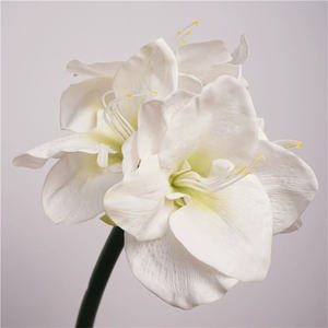 FL-991 Orchidée de haute qualité au toucher réel Fleurs d'<span class=keywords><strong>amaryllis</strong></span> en soie de haute qualité pour la décoration de Noël, de mariage et de la maison Rose Blanc - Product Image 1