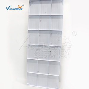 Modèle du système nerveux autonome humain VIC-H025 : structure anatomique et modèle du système nerveux sympathique - Product Image 3