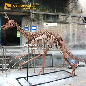 Squelette <span class=keywords><strong>de</strong></span> dinosaure mosasaure suspendu grandeur nature V - Product Image 5
