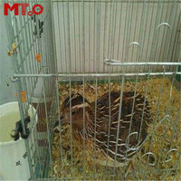 Cages à cailles pour enfants, équipement de haute qualité pour élevage des animaux, volaille, animaux