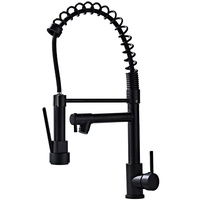 Robinet de cuisine monocommande en acier inoxydable au design moderne, flexible, à 3 voies, à montage sur plan, noir brossé, pour usage hôtelier