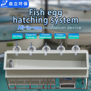 Incubadora automática de <span class=keywords><strong>huevos</strong></span> de trucha QihangRAS, sistema de acuicultura PP para cultivo de truchas de tilapia, incluye tratamiento de agua - Product Image 5
